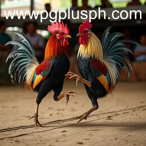 Exploring the Thrilling World of Sabong Games and the Rise of PGPLUS